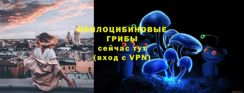 маркетплейс официальный сайт  Муравленко  Галлюциногенные грибы Psilocybe 